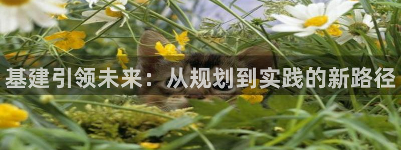 众腾娱乐下7O777