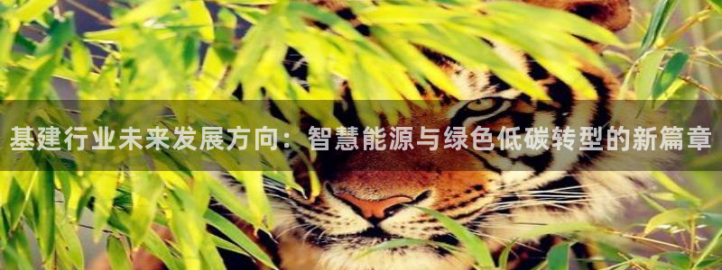 众联别墅g座上腾娱乐有限公司