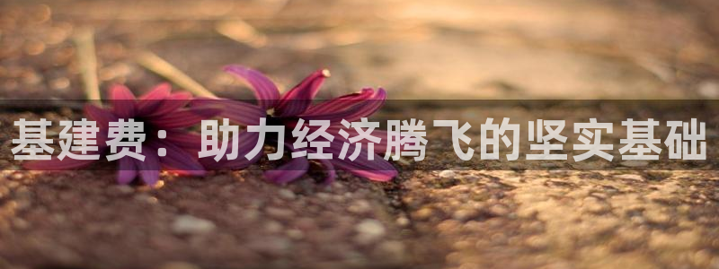众腾娱乐平台下载